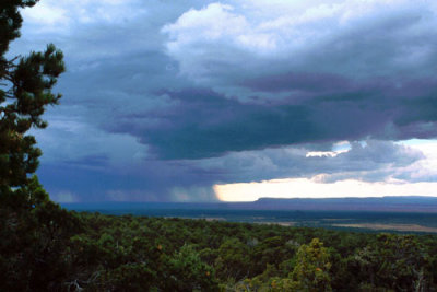 Storm over Kaibab Forest
