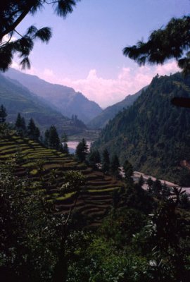  The Valley at Shivalaya