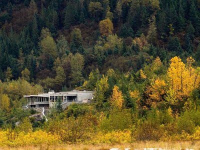 Fall colors starting around the Mendenhall Glacier Visitor Center