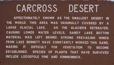 Carcross desert sign on the Klondike Highway