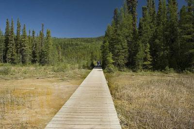 Start of trail into Liard Hot Springs