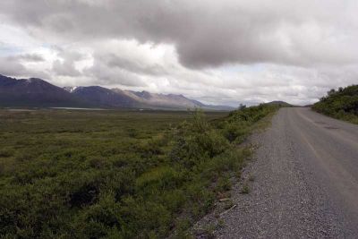 The Denali Highway is 130 miles long, 110 of it is gravel road