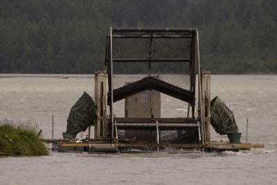 Fishwheel on the Chilkat River on the way into Haines