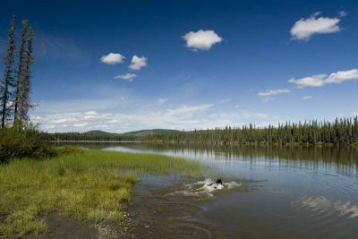 This is Moon Lake, Soama at the bottom jumping in.