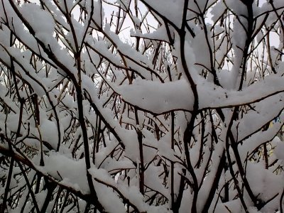 13022012_035.jpg