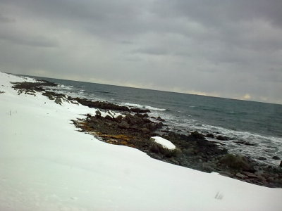 23022012_016ShoreLine.jpg