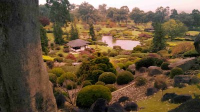 CowraJapaneseGardens-2012-05-13_12-31-59_818.jpg