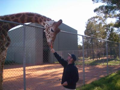 Giraffe@DubboZooIMGP2940.JPG