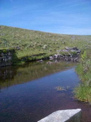 Dartmoor2006-06-17 054.JPG