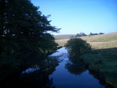 TwoBridgesDartmoor2006-06-17 023.JPG