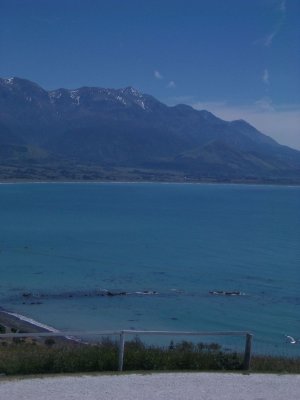 g4/84/507384/3/90664103.ibDZDcYd.jpg