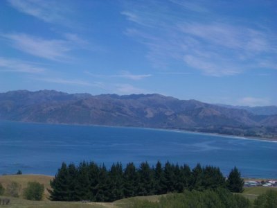Kaikoura8321.JPG