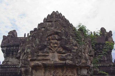 IMG_9923.jpg