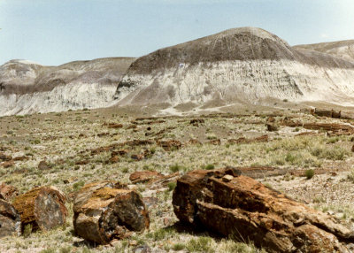Painted Desert_Petrified Forest 1982