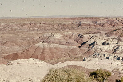 Painted Desert_Petrified Forest 1982