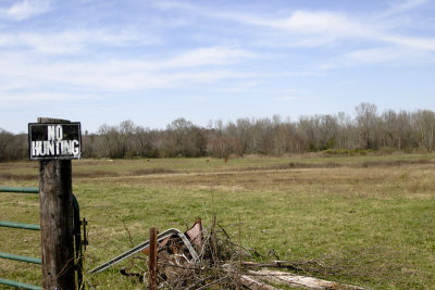 White House (Haley's), Alabama