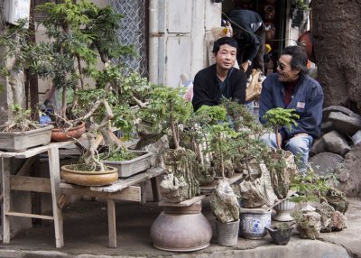 Tet in Hanoi 2012