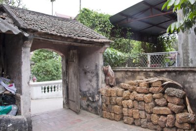 Duong Lam