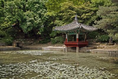 Pagoda over Pond