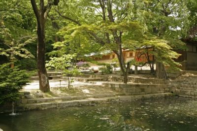 A pond and building