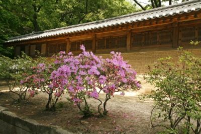 Secret Garden, Changdeok Palace