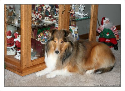Bailey