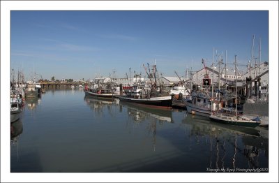 STEVESTON GALLERY