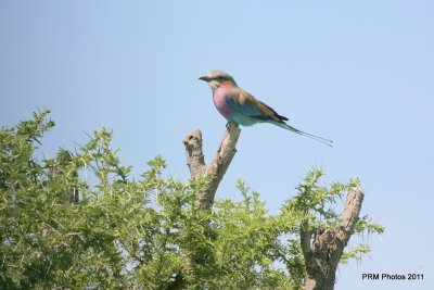 IMG_0918.JPG