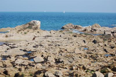 Dun Laoghaire