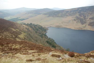 Guinness Lough, Wicklow