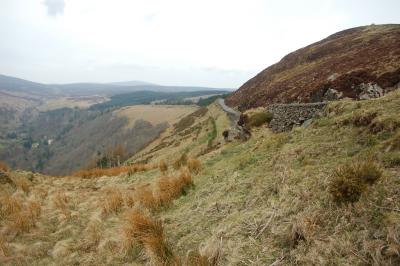 Wicklow