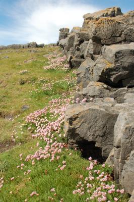 Coastline, Aran Islands, Inis Mor