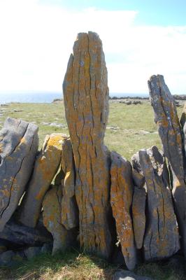 Coastline, Aran Islands, Inis Mor