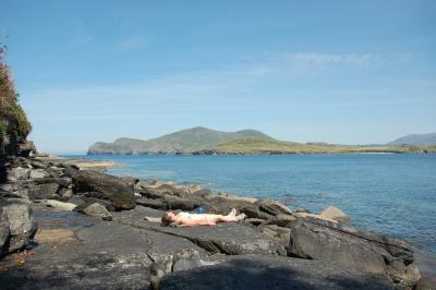 SUNBATHING ON THE WAY TO THE LIGHTHOUSE