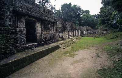 Tikal9.jpg