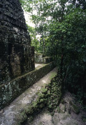 Tikal10.jpg