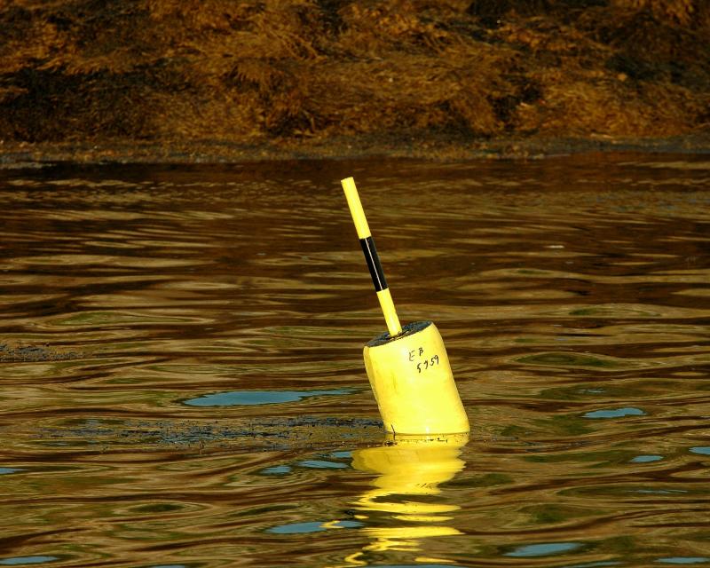 Lobster Pot - Incoming Tide