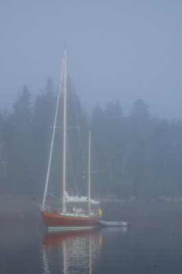Foggy Monring Over A Classic
