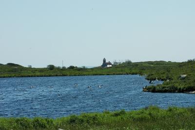 The Fresh Water Pond