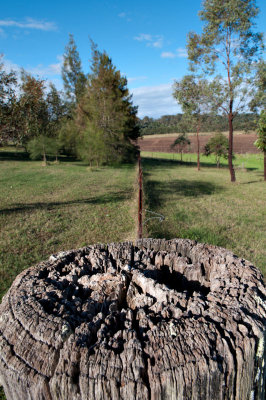 Fence Line