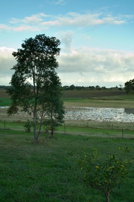 Lake Lucy