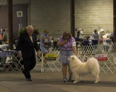 Best of Breed Competition #53