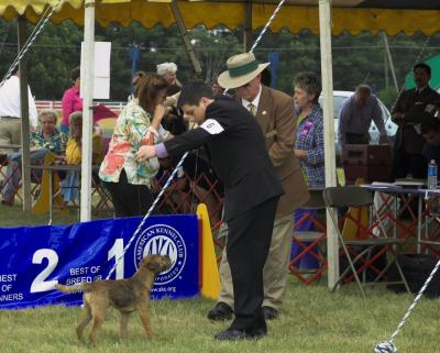 Another from Junior Showmanship