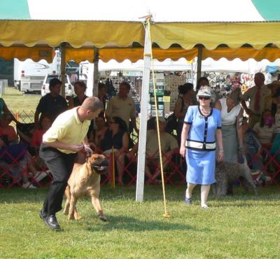 Southern Maryland Kennel Club Show - July 1, 2006