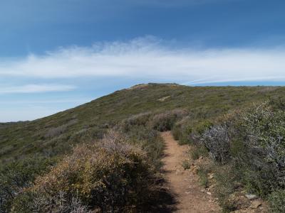 PCT 016.jpg