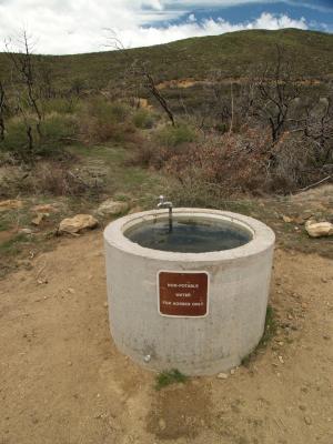 Horse trough water!! Pioneer Mail