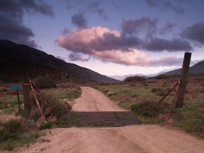 Rodrequez truck spur