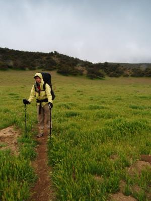 PCT 044.jpg