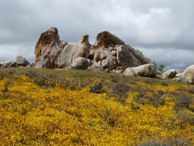 Eagle Rock with Flowers