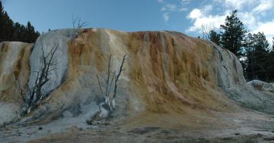 Mammoth Hot Springs